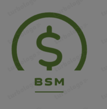 BSM Logo